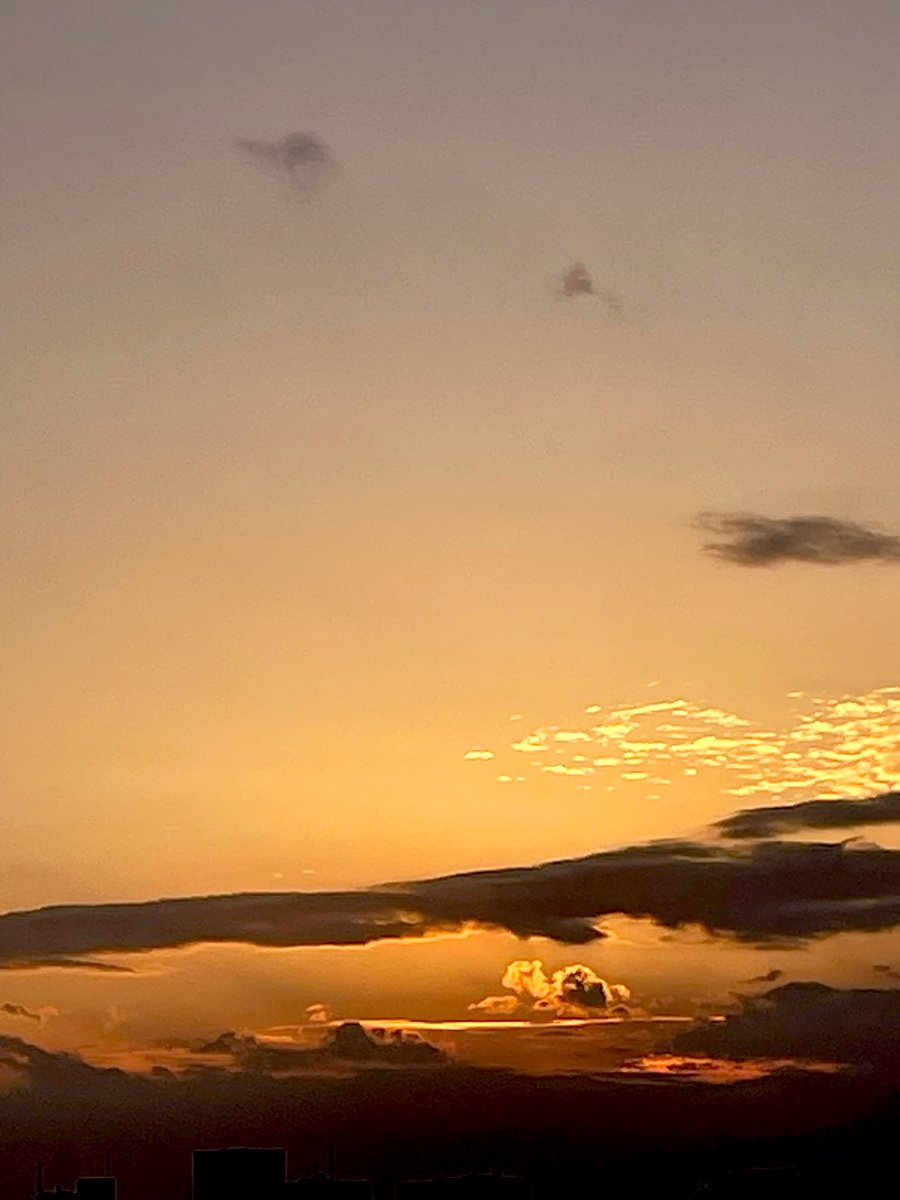 DIntroductions3's tweet image. #イマソラ #相互フォロー
#写真好きな人と繋がりたい
#ファインダー越しの私の世界

やっと来た秋 🌆