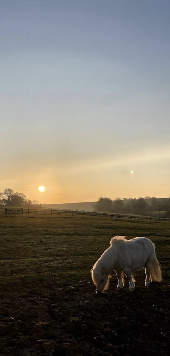 Dazjacob10's tweet image. NEW ADVENTURE !!!!!!!👀👀👀Looking forward to this exciting new adventure near Bath City 🏙️ airbnb.com/l/4HJQeuEK