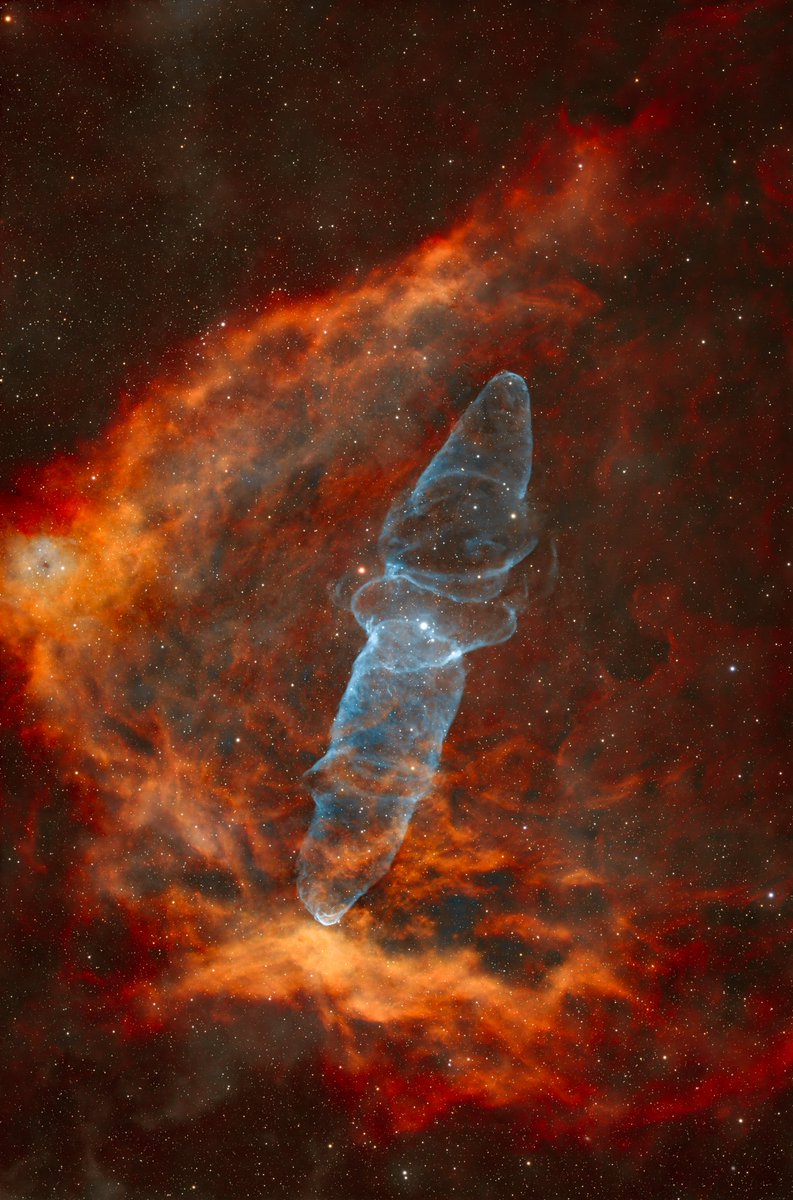 Sh2-129 o Nebulosa del murciélago 🦇 volador y nebulosa calamar en la constelación de Cefeo 
45 horas de integración.
📷 Agosto 2024  ( 21 h.) 
📷 Septiembre 2025 ( 24h.)

#cielosESA 
<a href="/PlanetarioMad/">Planetario de Madrid</a>