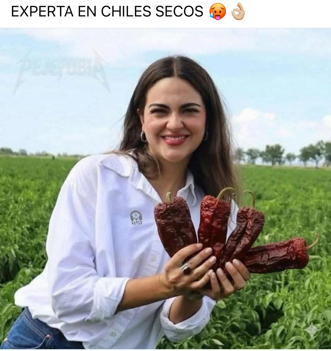 VanderFabo's tweet image. Jajajaja #NoMamar