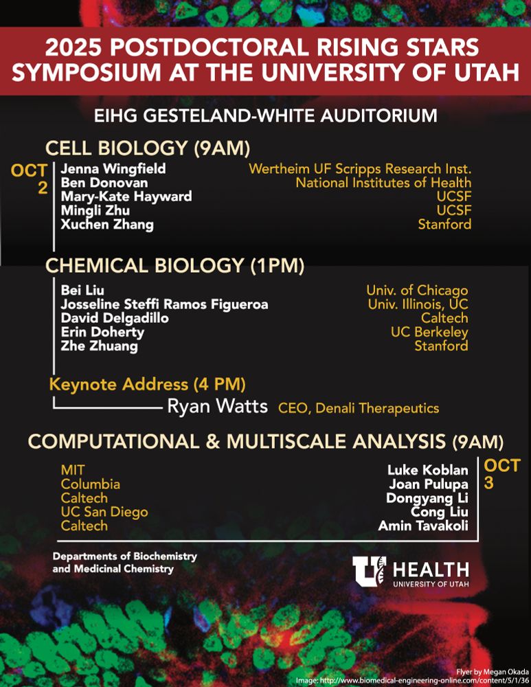 UofUBiochem's tweet image. Just a couple days away from the 2025 Postdoc Rising Stars Symposium! Don&apos;t miss this series of talks on the cutting edge of Cell Biology, Chemical Biology and Computational &amp;amp; Multiscale Analysis, and a keynote by Ryan Watts (Denali Therapeutics)!