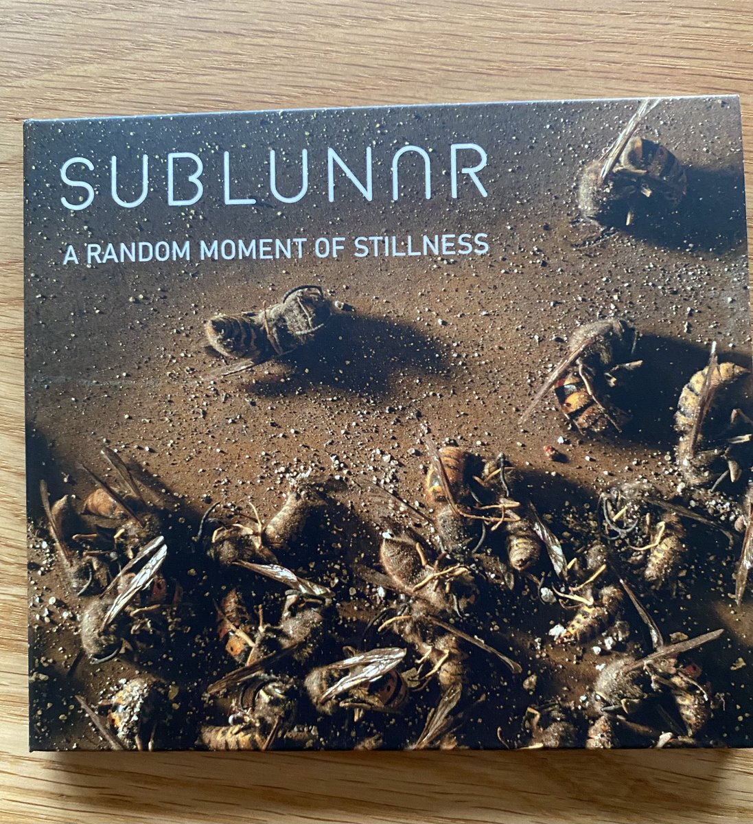 Best of Prog tweet media