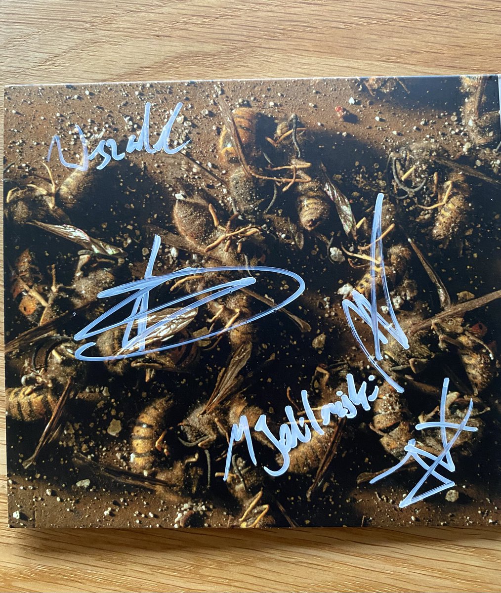 Best of Prog tweet media