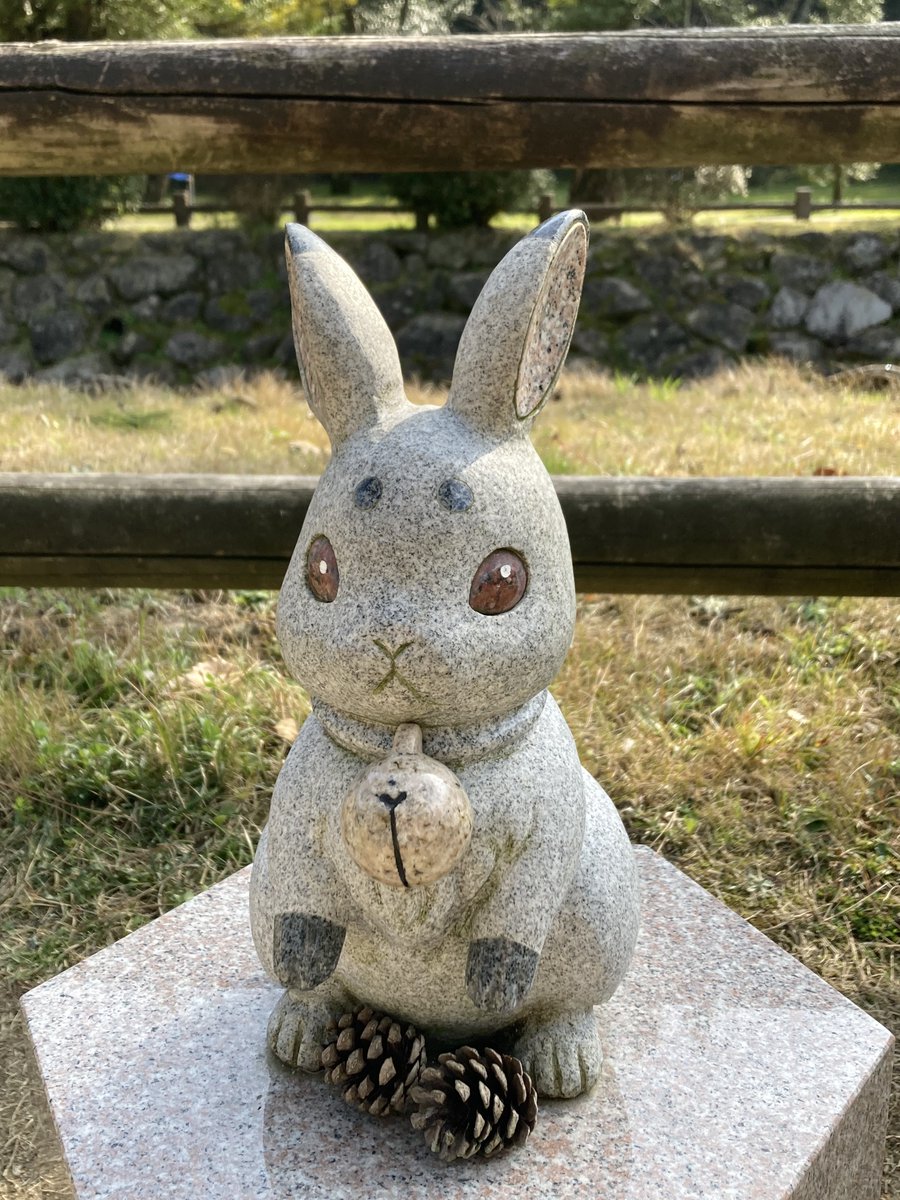 宙花と羽毛 楽天市場】最大100%ポイントバック！※条件あり サクラ ギフト