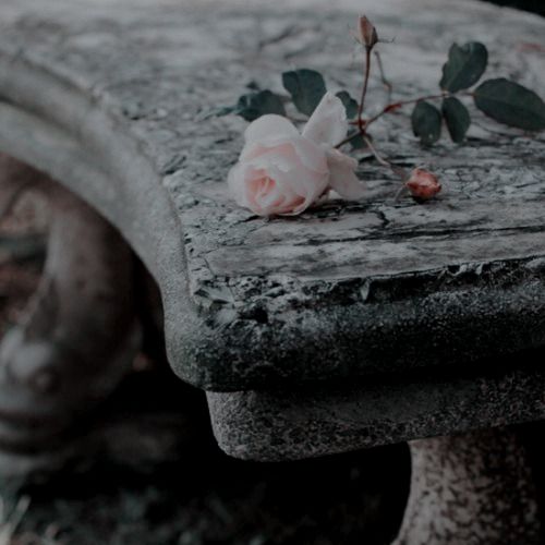 ๐๐ซ๐ข๐ฌ๐ญ๐๐ง ๐๐จ๐ฅ๐๐๐ซ๐ . tweet media