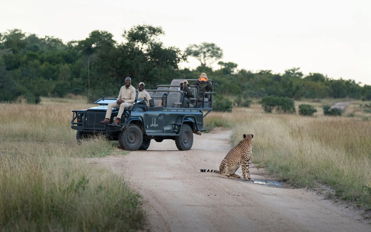 TravelAdvisor8's tweet photo. Nestled above the flowing waters of the Sand River, Dulini River is the perfect blend of safari adventure and refined elegance. 

Discover the wilderness...
##thetraveladvisor08

#dulini #dulinimoments https://t.co/002n425sk0
