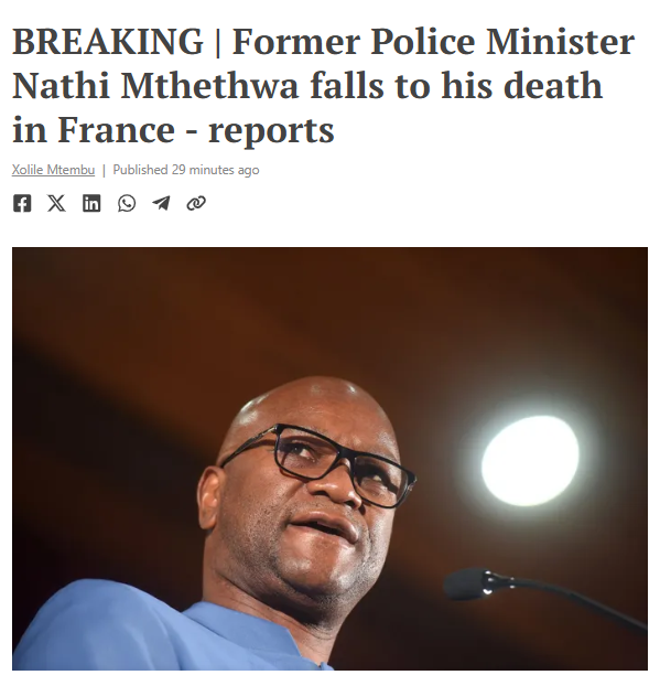 Conscious Caracal 🇿🇦 tweet media