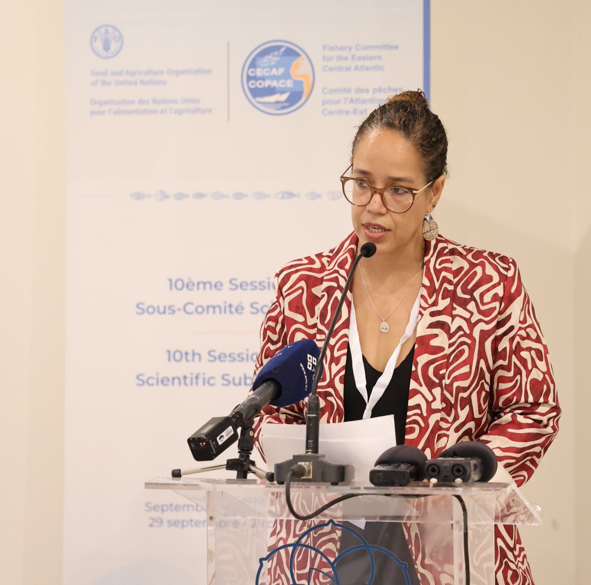 FAOCaboVerde's tweet image. #CECAF Fishery Committee Eastern Central Atlantic

AFAOR 🇨🇻 @KatyaNeves1:
“Sustainable fisheries management requires holistic approaches integrating information provided by stock assessments, considering the social &amp;amp; economic context, as well as governance arrangements.”

#SDG14