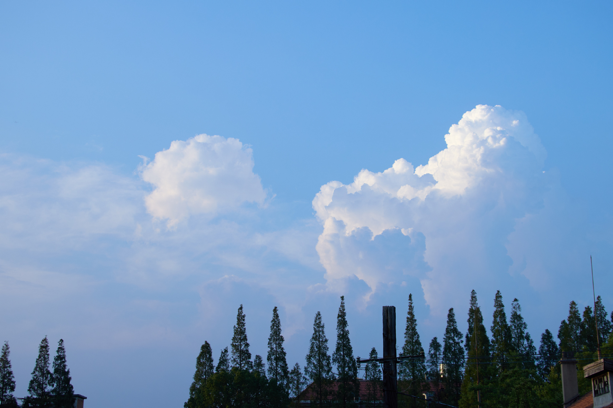 MARI🌸肖戦🦐小飞侠 (@MARI_Jxfx) / X