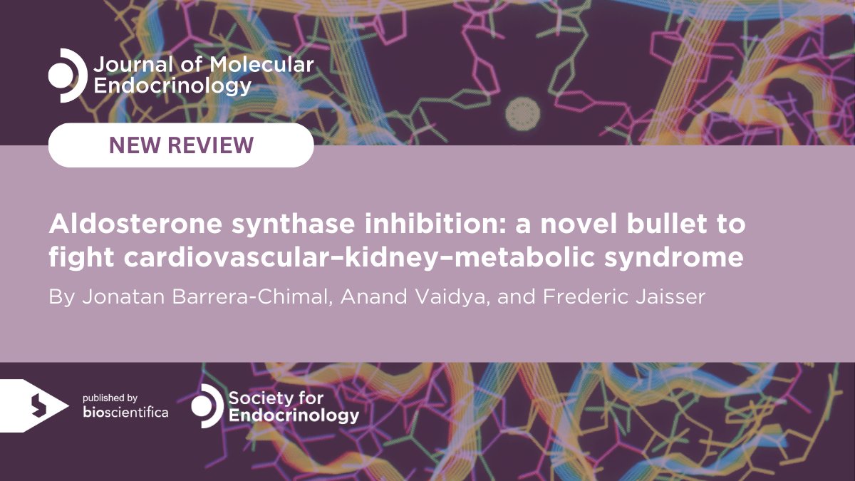 JMolEndo's tweet photo. New Review: Jonatan Barrera-Chimal, Anand Vaidya &amp; Frederic Jaisser explore the potential clinical advantages of a novel treatment, aldosterone synthase inhibitors (ASi), for cardiovascular–kidney–metabolic syndrome.

Subscribers can read the full article: https://t.co/lkeSh0etIa https://t.co/nERyxJHBkj