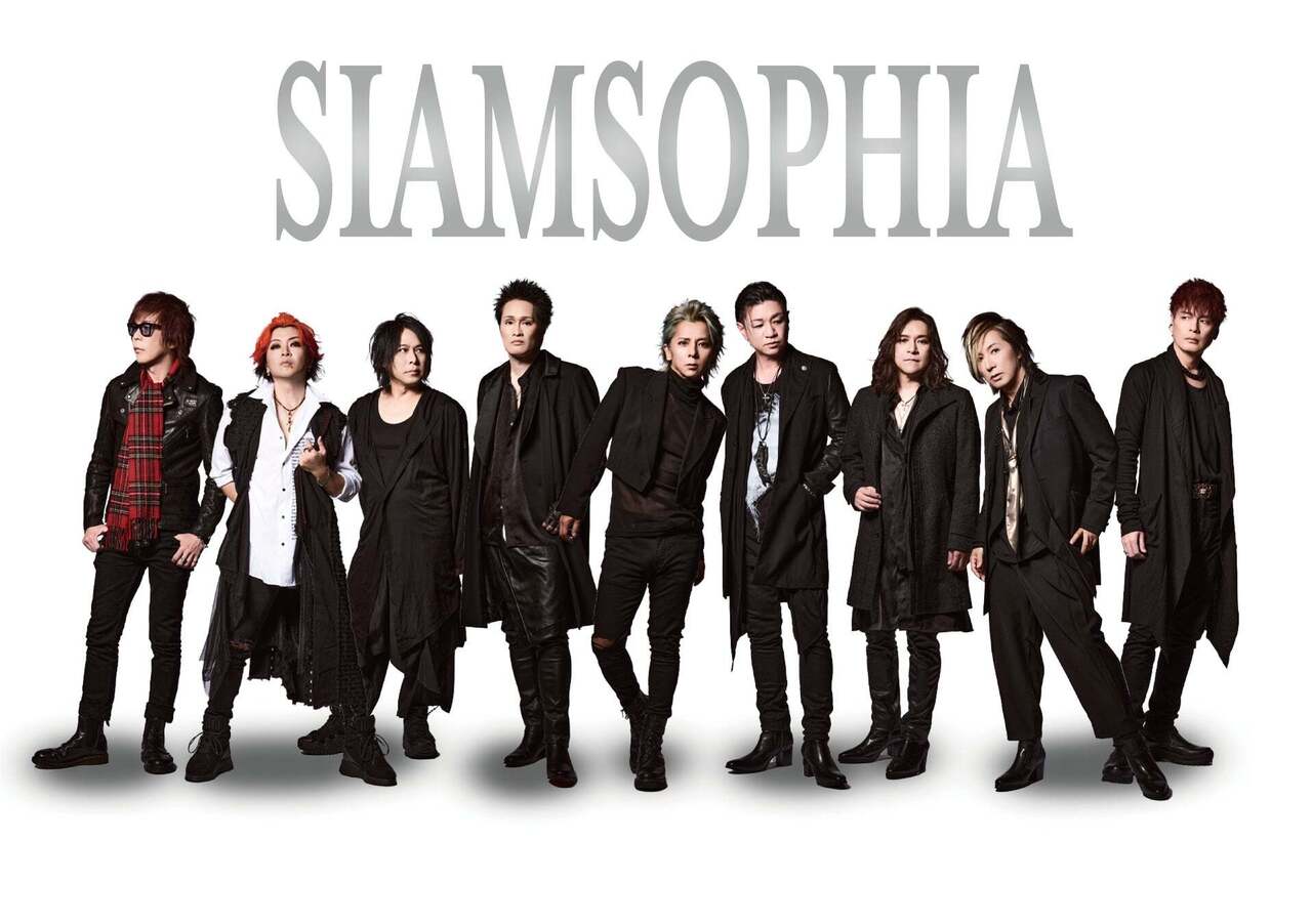 SIAMSOPHIA - Search / X