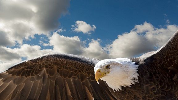 DCSCInc's tweet image. #TuesdayThoughts &quot;The purpose of education is to replace an empty mind with an open one.&quot; Malcolm S. Forbes