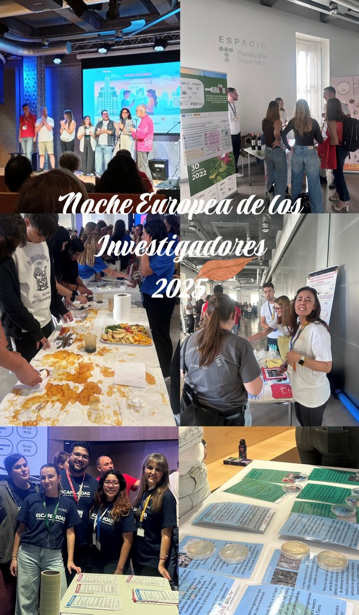 CIAL_CSIC_UAM's tweet image. ¡Ciencia, talleres y mucha curiosidad! 🔬✨
Así vivimos la #NocheEuropeaInvestigadores en @EspacioFTef junto a @CSIC Cantoblanco. Un éxito total de divulgación.
¡Gracias a los organizadores y a todas las familias por su entusiasmo!
¡Nos vemos en la próxima! @madrimasd 🔬