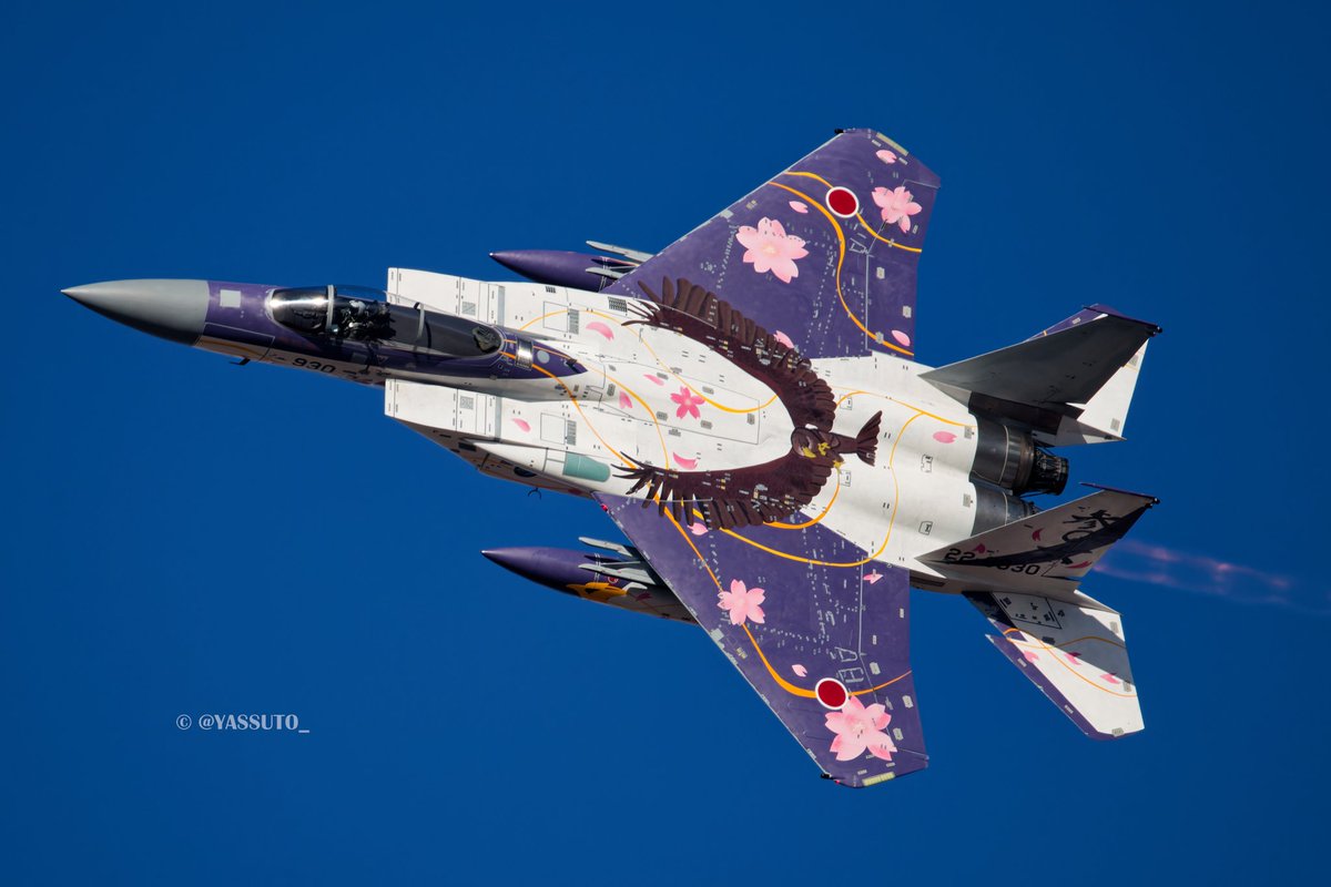 ★米空軍★US.AIR.FORCE★第9戦術航空★コマンド★スコードロン★ U.S ARMY,NAVY,AIR FORCE,MARINES 米陸軍、海軍、空軍、海兵隊