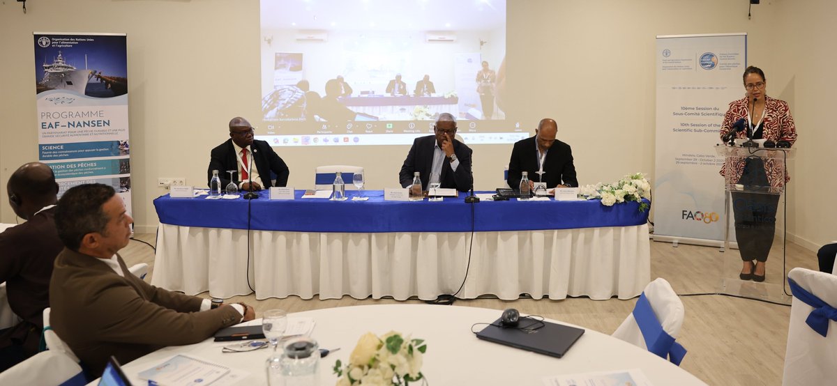 FAOCaboVerde's tweet image. #CECAF Fishery Committee Eastern Central Atlantic

AFAOR 🇨🇻 @KatyaNeves1:
“Sustainable fisheries management requires holistic approaches integrating information provided by stock assessments, considering the social &amp;amp; economic context, as well as governance arrangements.”

#SDG14