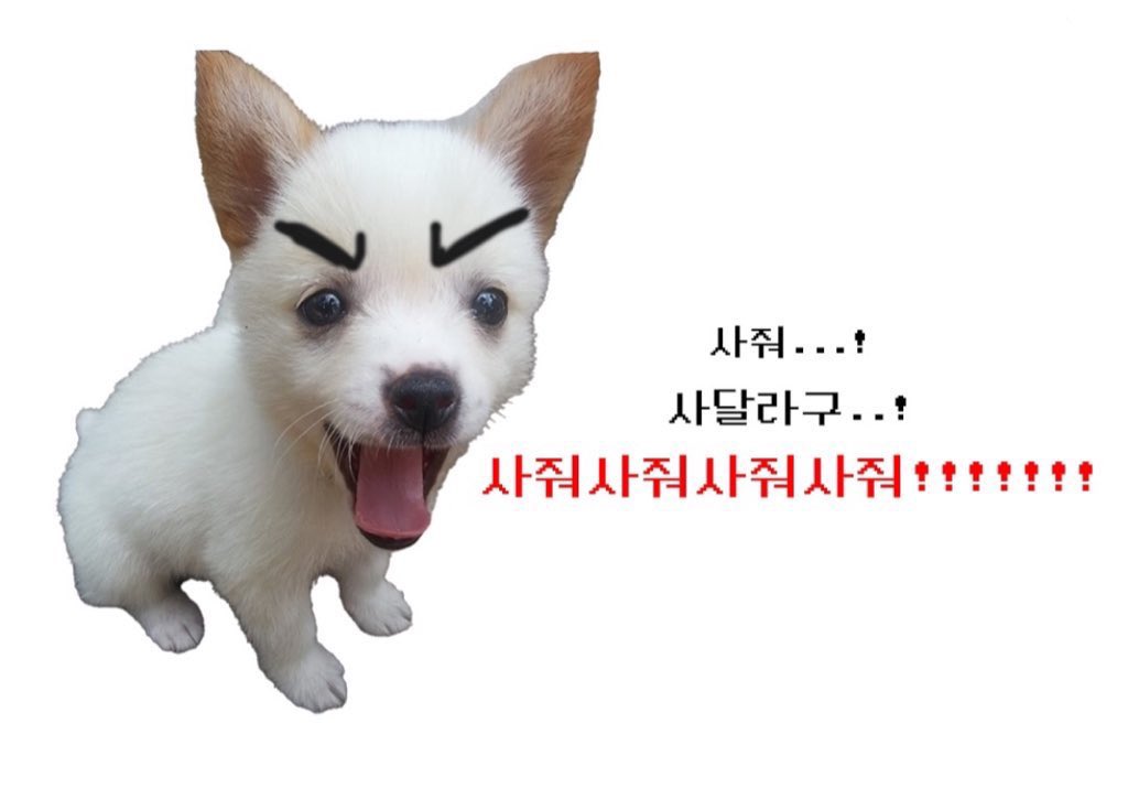 코드그라피