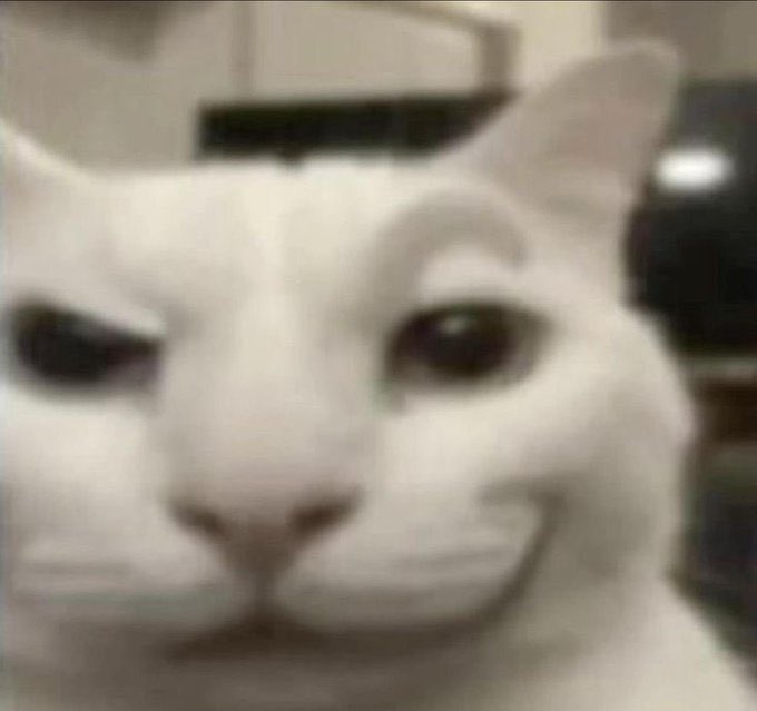 Meme image of a smirking cat representing Laura Shin cooking in the crypto space