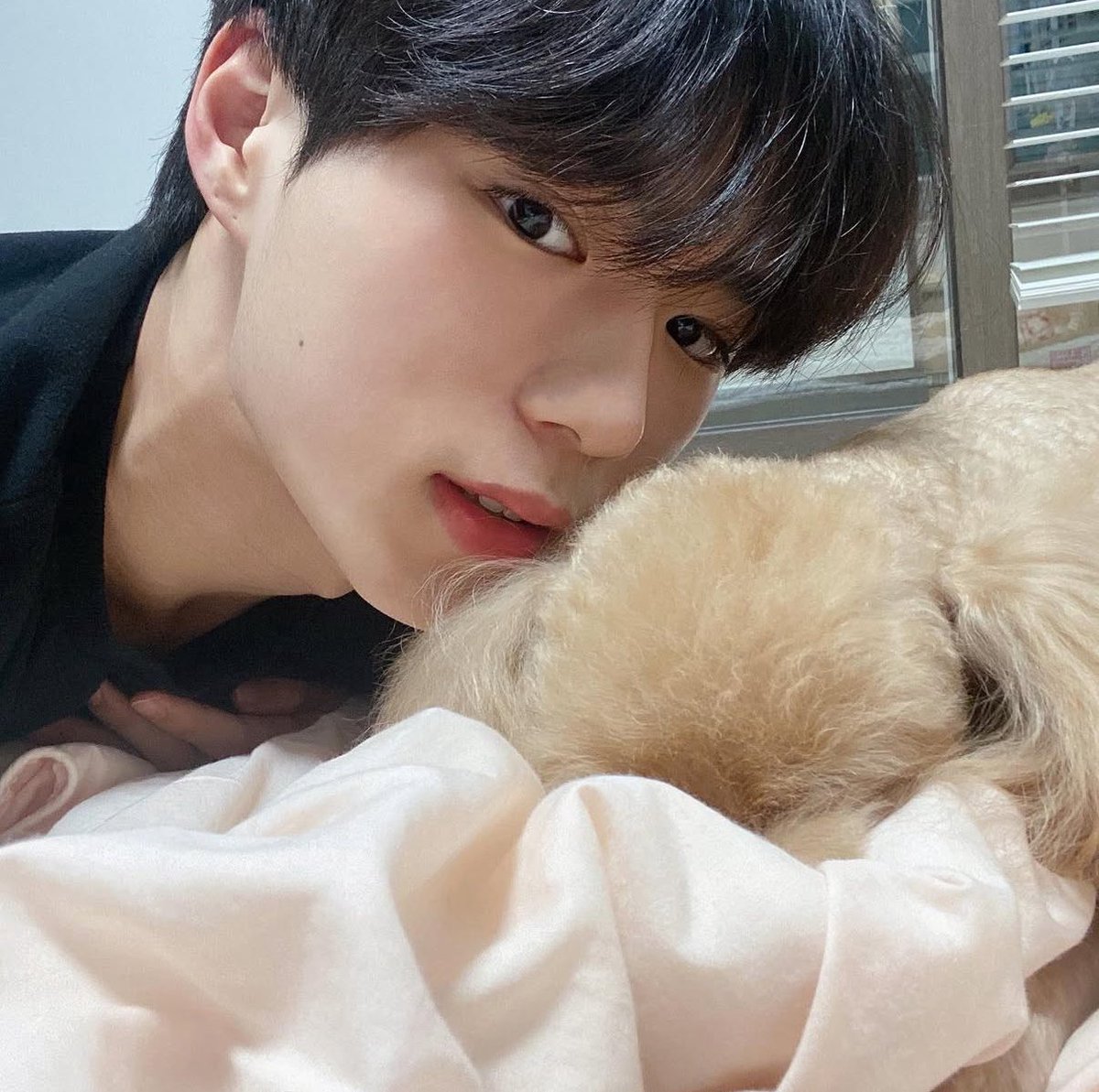 Ⓜ🦊🖤 tweet media