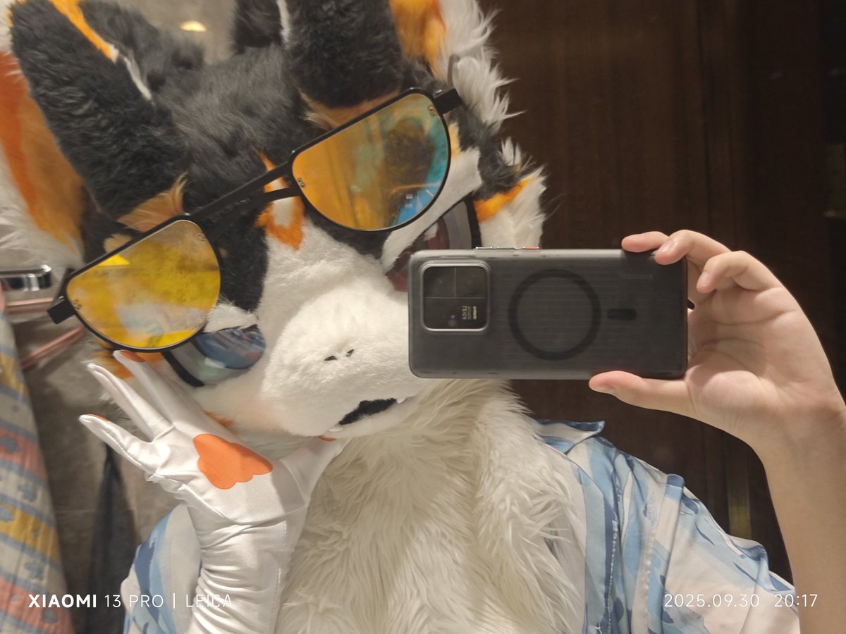 莱福酱 tweet media