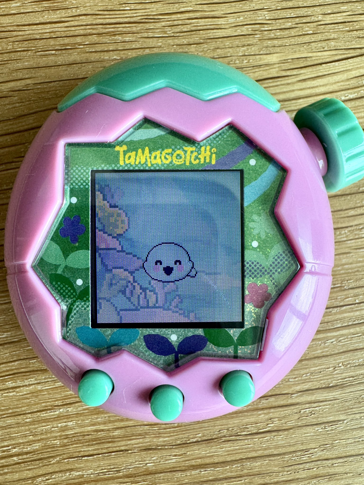 たまごっちパラダイス Tamagotchi Paradise（たまごっちパラダイス） | たまごっち公式