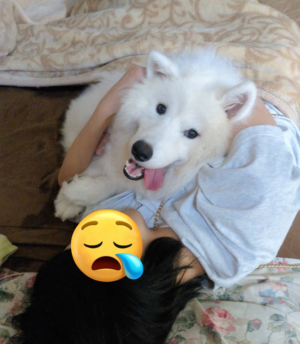 さだはる SADAHARU/さだはる (@SADAHARUTV) / X