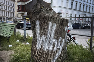 baumentscheid's tweet photo. 🚨 BREAKING: Morgen 11 Uhr zeigt sich, ob Berlin ernst macht mit Hitzeschutz: oder das #BäumePlus-Gesetz zerfleddert. CDU&SPD wollen unseren Entwurf „anpassen“. Wir vom #BaumEntscheid sind bereit für Gespräche, aber falls nötig auch für den Rechtsweg. https://t.co/DG3hrH3zWU https://t.co/QDw8mhWPdb