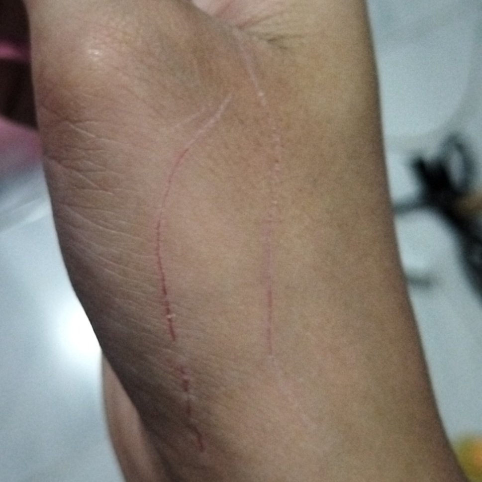 lovehate relationship sm kucing gw yg satu itu