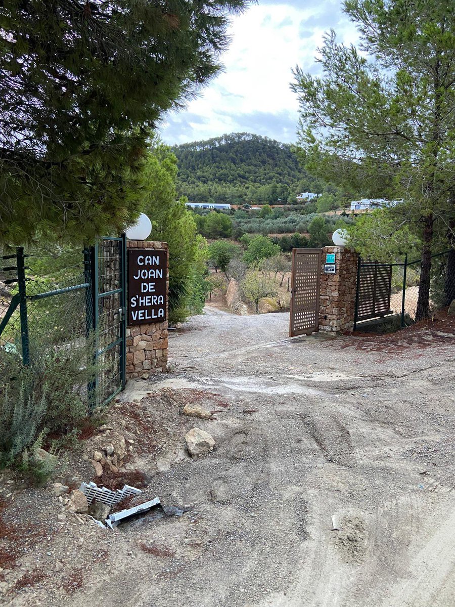 La policía no hace nada, el alcalde no hace nada, nadie hace nada y así nos cargamos #Ibiza. <a href="/diariodeibiza/">diariodeibiza</a> <a href="/Holidu_/">Holidu</a> <a href="/guardiacivil/">Guardia Civil</a> <a href="/Santjosepibiza/">Santjosep.net Ibiza</a>