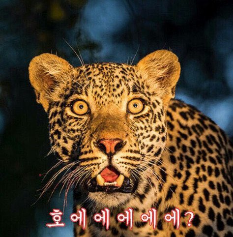 그럼 김승기랑 이상민이 동갑이야??????