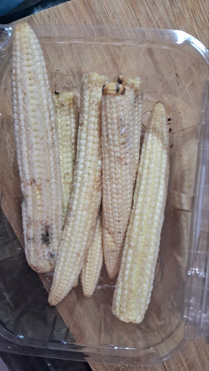 mrinmaee's tweet photo. @bigbasket_com seems to hv taken a noble oath — to save people the trouble of falling sick naturally by serving rotten vegetables directly. Was i wrongly using florelets instead of stem for cooking?🤔  so huge stem who need florets to cook food! @WHO have a look https://t.co/7UMRmyN6sY