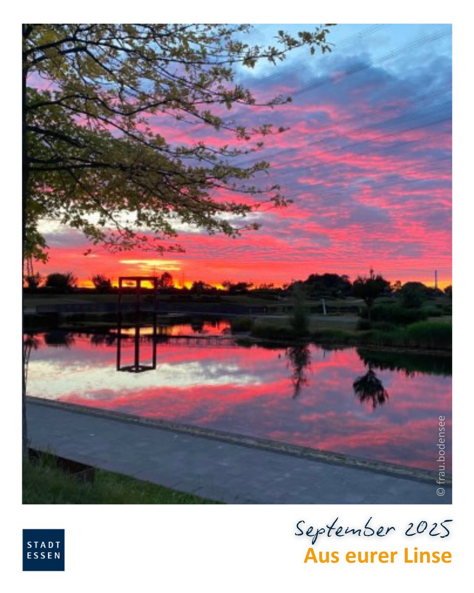 Essen_Ruhr's tweet image. #AuseuererLinse ‒ September: frau.bodensee (über Instagram) hat uns diesen wunderschönen Sonnenuntergang vom Niederfeldsee in Essen-Altendorf zugeschickt! 😍🙌
#essenruhr #stadtessen #niederfeldsee