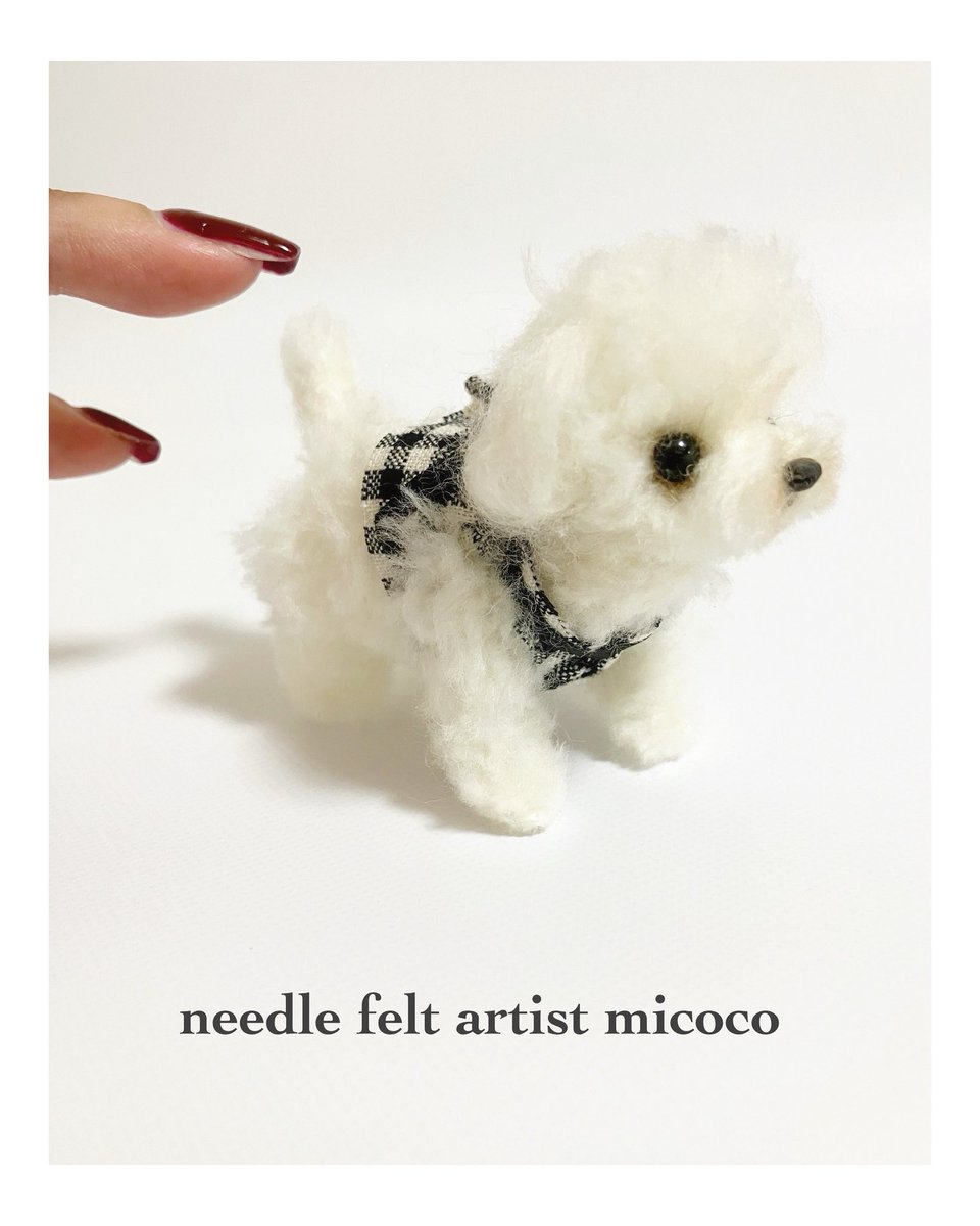 dog_micoco's tweet image. #うちの子オーダー受付中 #羊毛フェルト犬 
#羊毛フェルト作家みここ #マルプー 
#マルチーズ 

🐶「ぼく、チェック柄似合ってる？」