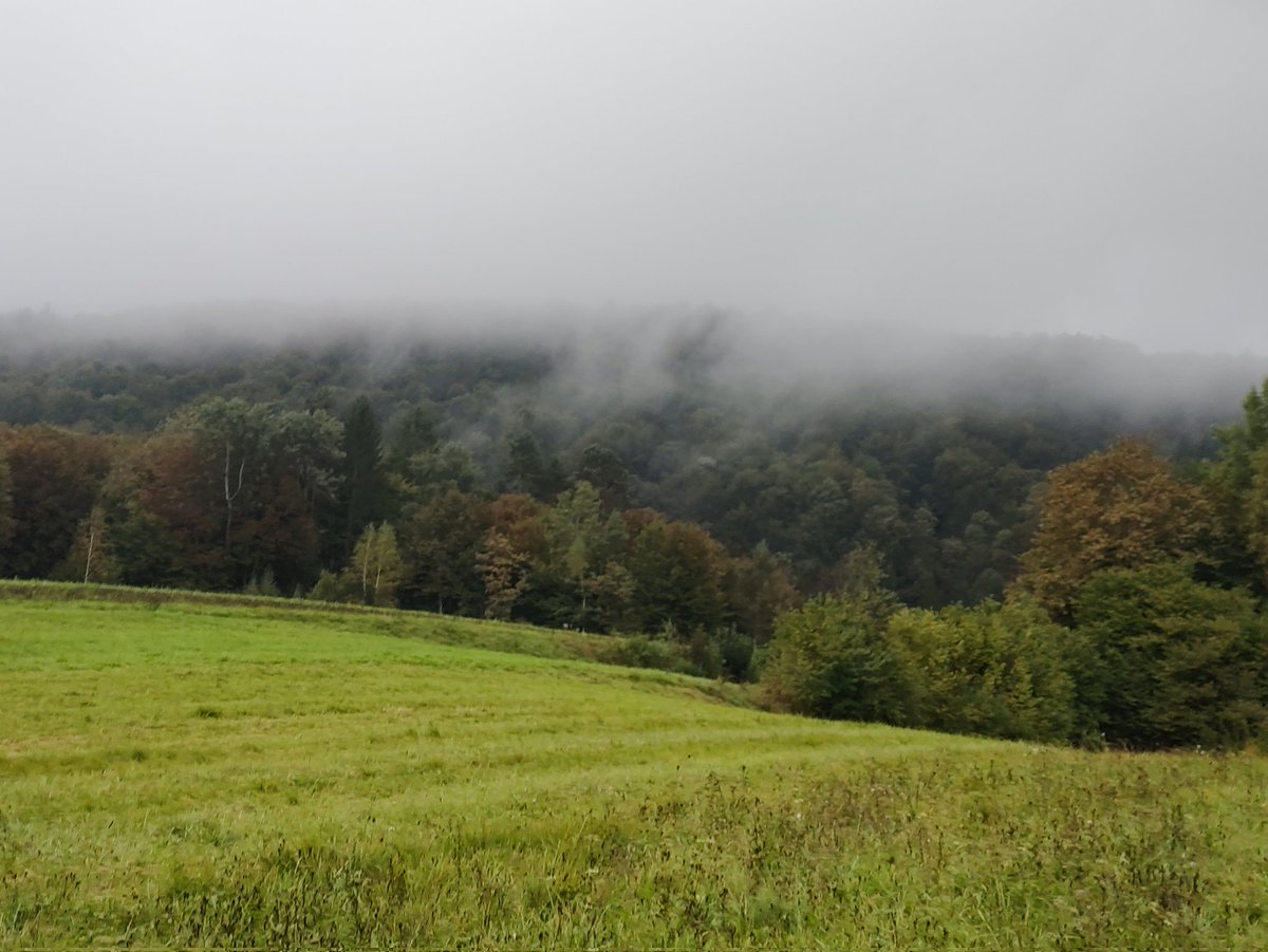 Jure Sah 🇪🇺🇸🇮 tweet media