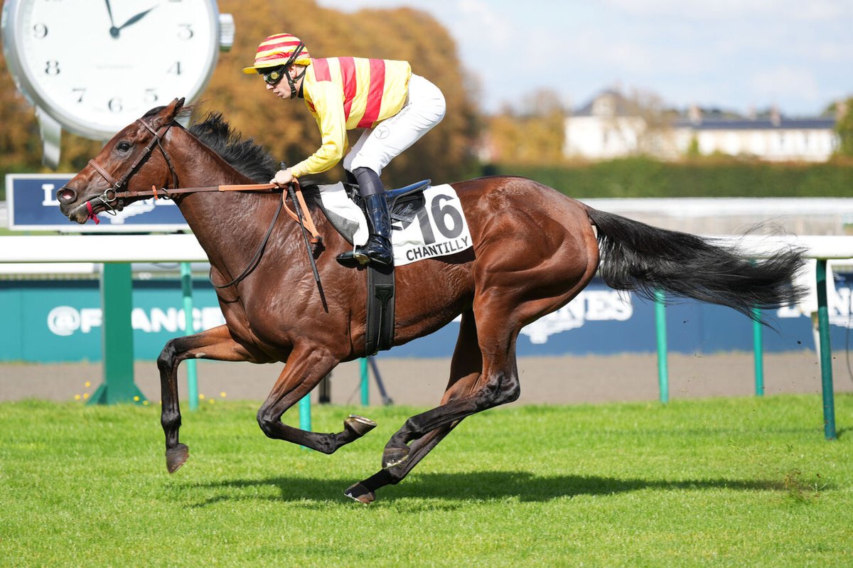 Canalturf tweet media