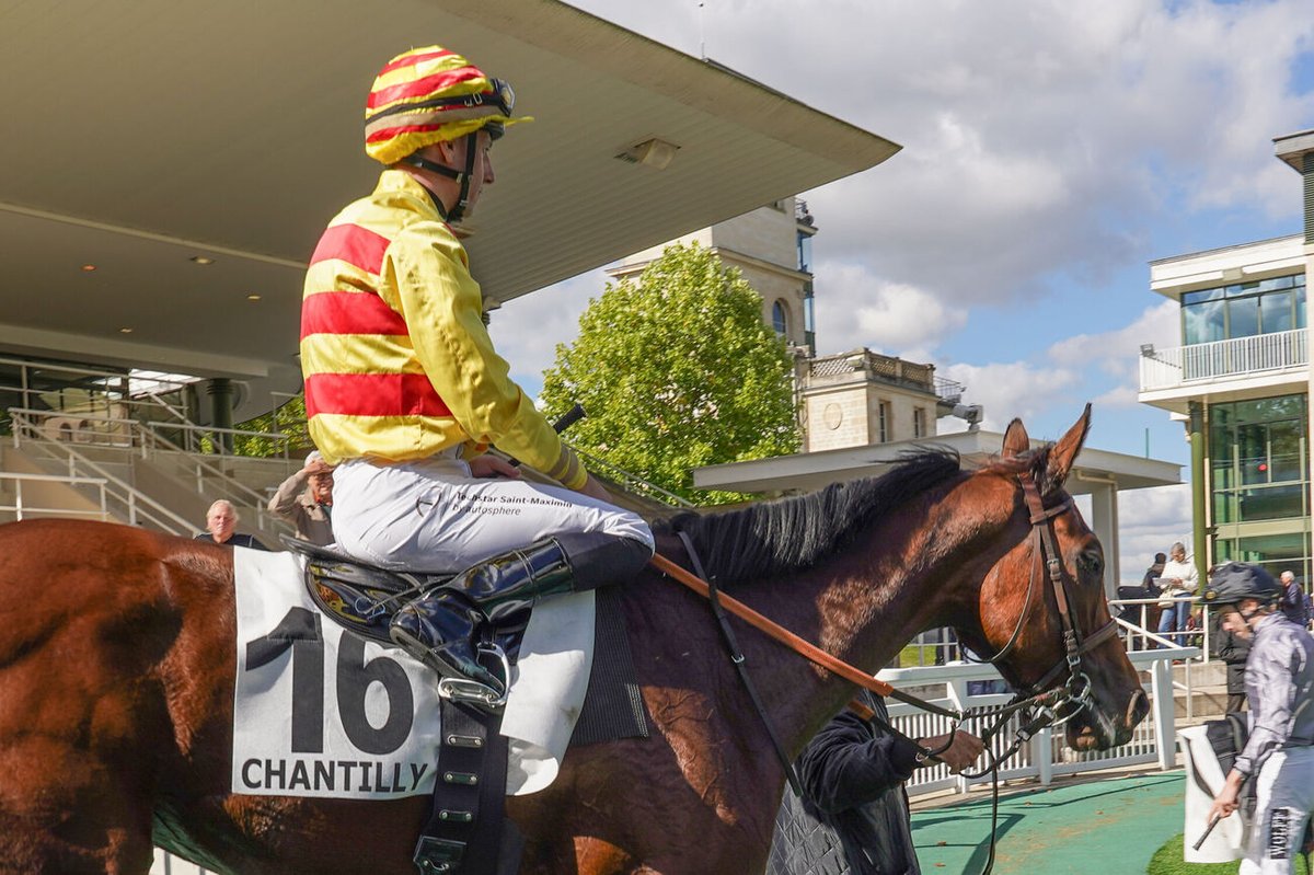 🏁Résultat et rapports Quinté+ Pmu Prix De La Galerie Des Batailles sur l'hippodrome de Chantilly
🥇LA CEIBA (16) survole les débats

▶️canalturf.com/infos-hippique… <a href="/GavinHernon/">Ecurie Gavin Hernon</a>
