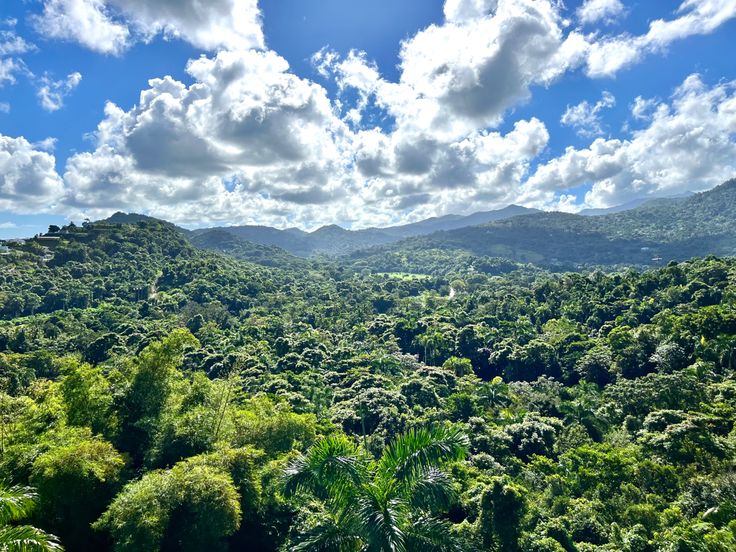 Lost in the endless green, where the sky kisses the mountains 🌿⛰️☁️