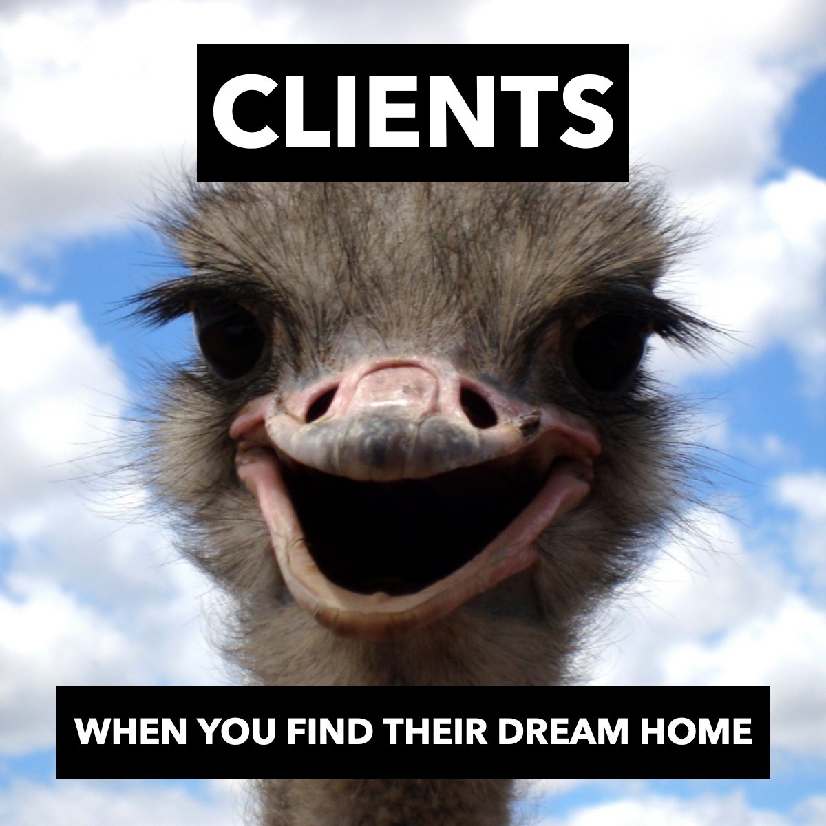 KaterinaRealtor's tweet photo. Is there a better feeling than finding the one? 🤗

#DreamHome #BuyerGoals #HouseHunting #ClientJoy #AweMoment #RealEstateMagic https://t.co/oDKG8mfpjc
