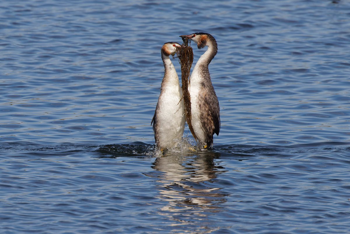 Mark Tyrrell tweet media