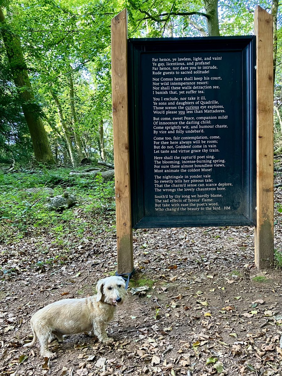 WireDax's tweet photo. Getting poetic at @TyntesfieldNT https://t.co/G2u7eXc9jI