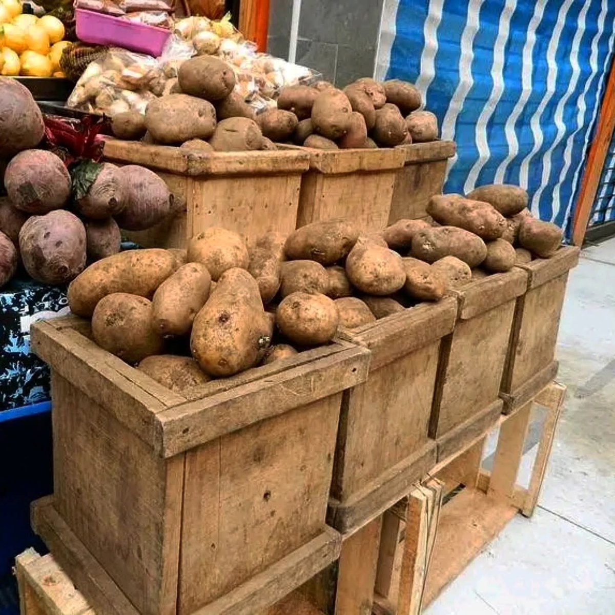 Chiloé Transparente tweet media