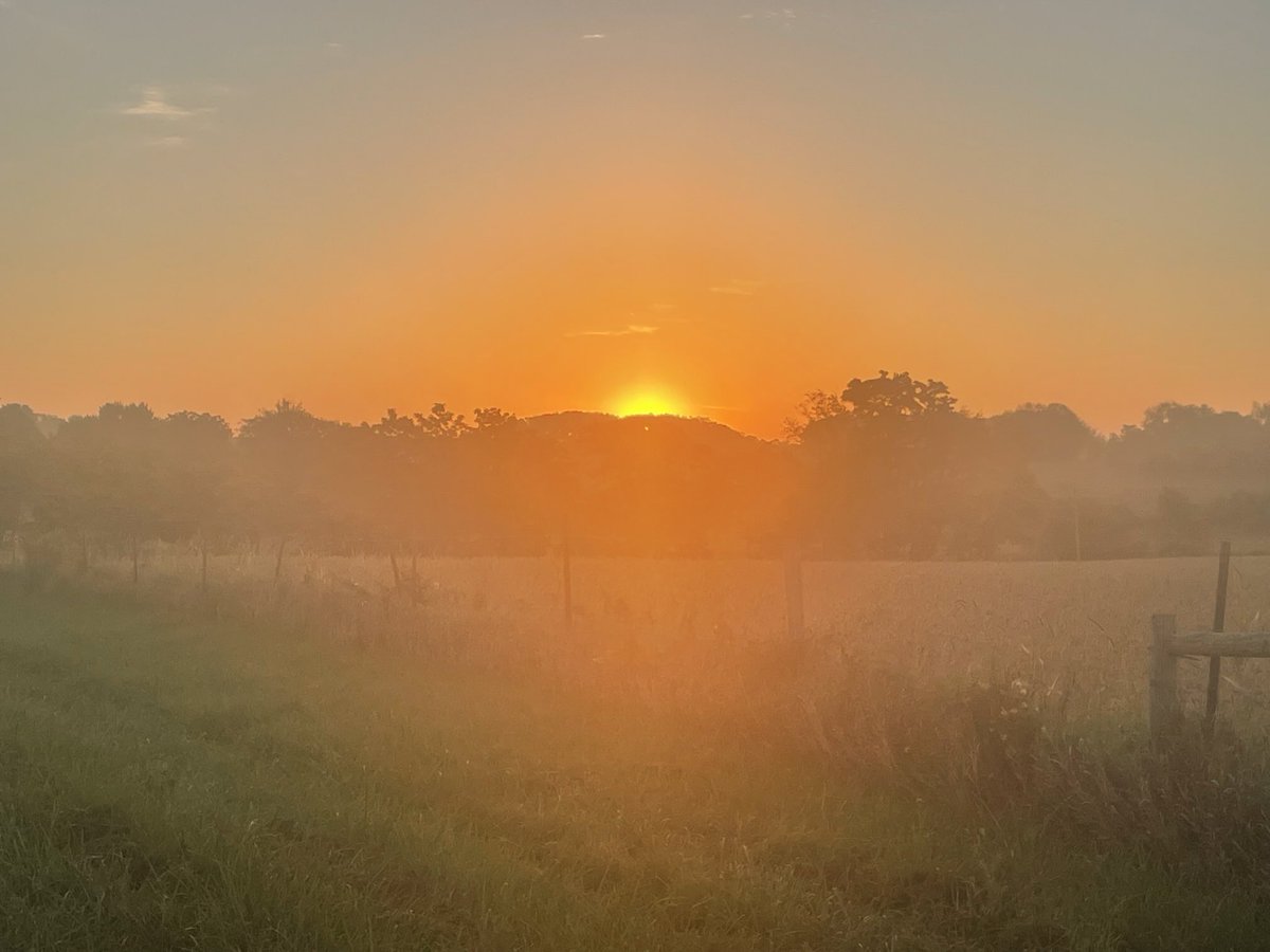 Tuesday walking views 🌄 end of September 🍁 There are hidden blessings in every struggle    Be safe Be kind always be respectful 😎☮️🎶☀️