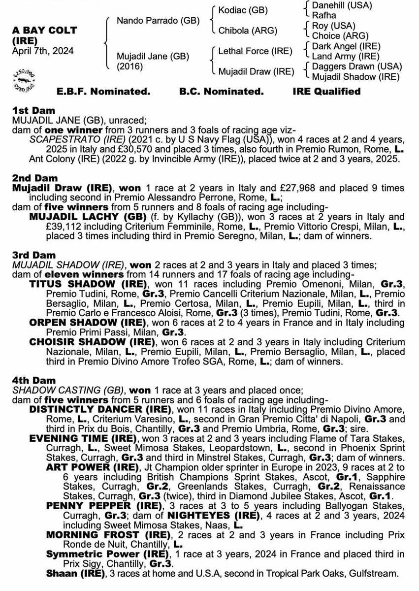 MillennialR2023's tweet photo. SHARES AVAILABLE!

Purchased for €10,000 @Tattersalls_ie. By Nando Parrado, who has made a solid start to his stallion career. He recently had a Listed winner that was only a £15,000 yearling purchase. He looks racy and will go to @TomDascombe. 
📧 info@millennialracing.com https://t.co/5lt5Y1UpWw