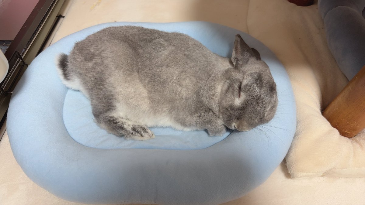 しらとあきこ on X