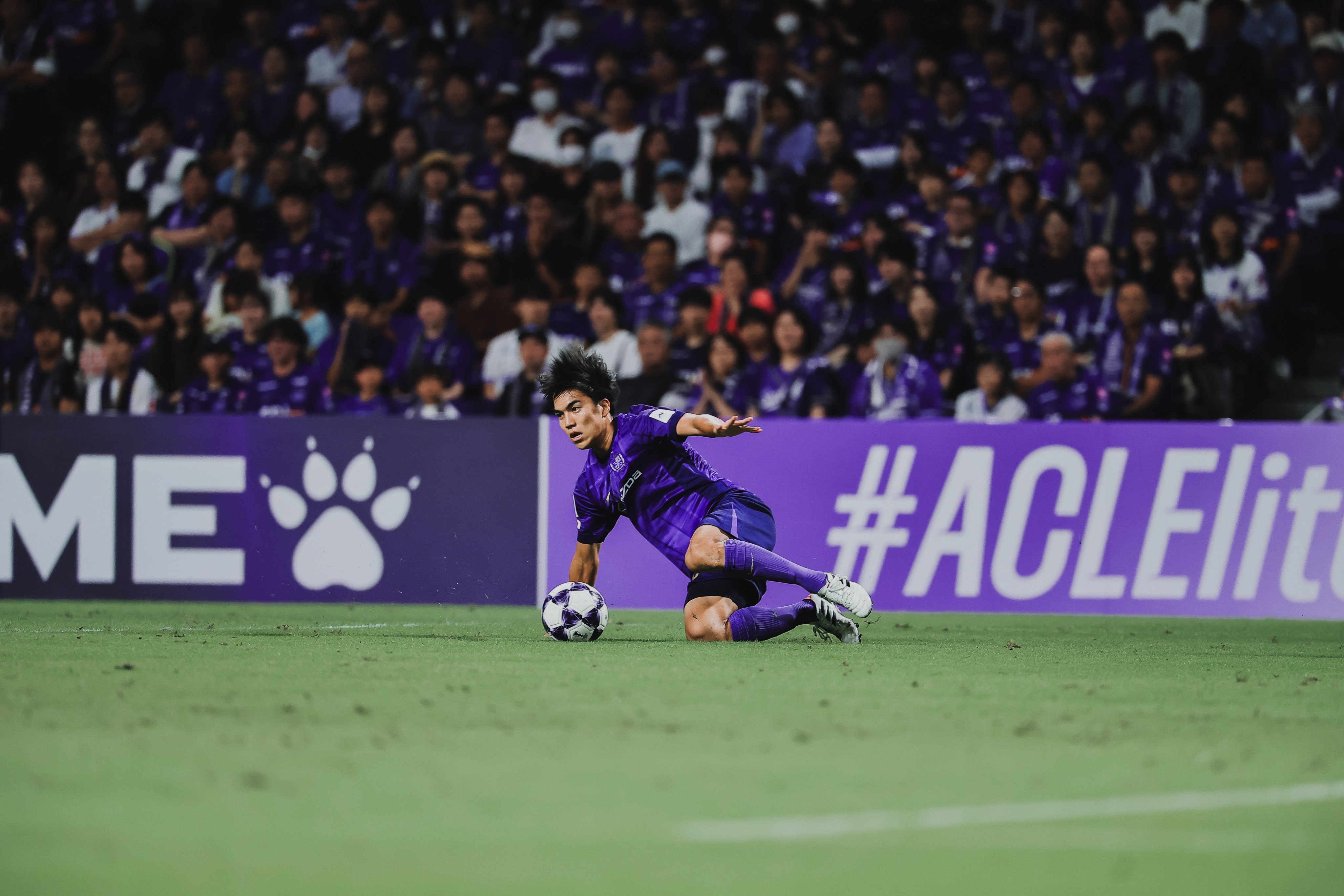 【入手困難限定】ACL2019 サンフレッチェ広島　広州恒大 ペナント サッカー サンフレッチェ広島【公式】 on X: 
