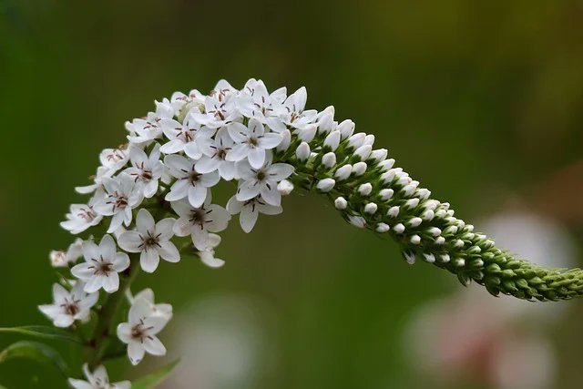 #IA  et #étudiants : Savoir citer ses sources (vérifiées !) est indispensable à la  formation intellectuelle – et ne pas le faire est passible de sanctions : theconversation.com/ia-et-etudiant…
