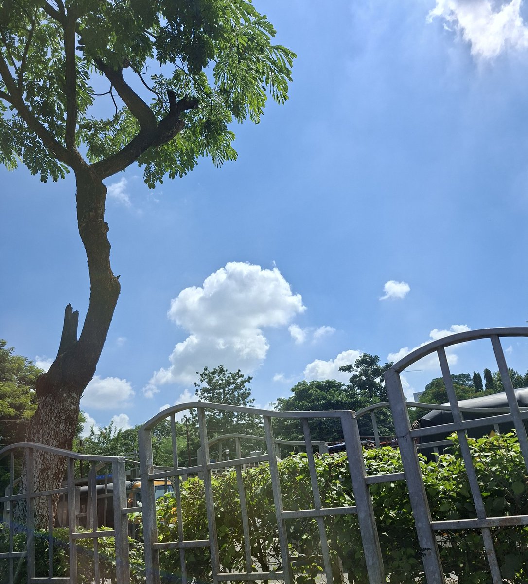 ashumeher1210's tweet photo. #Autumn #sky_line https://t.co/FKbfcAfJkA