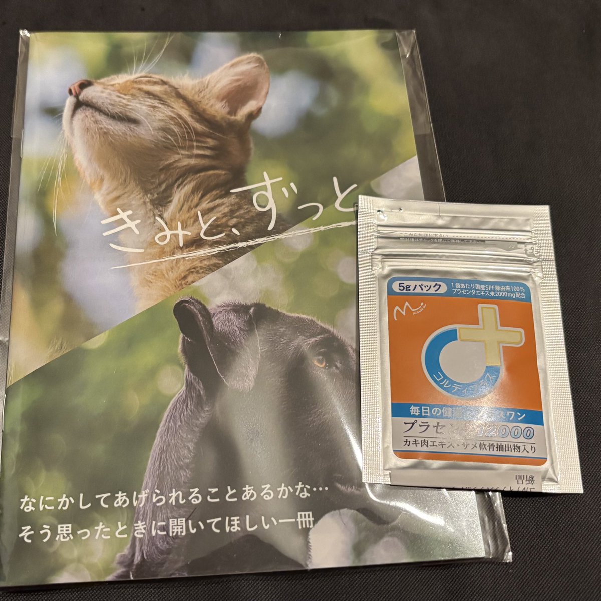 ゆたこ (@yutako55) / Posts / X