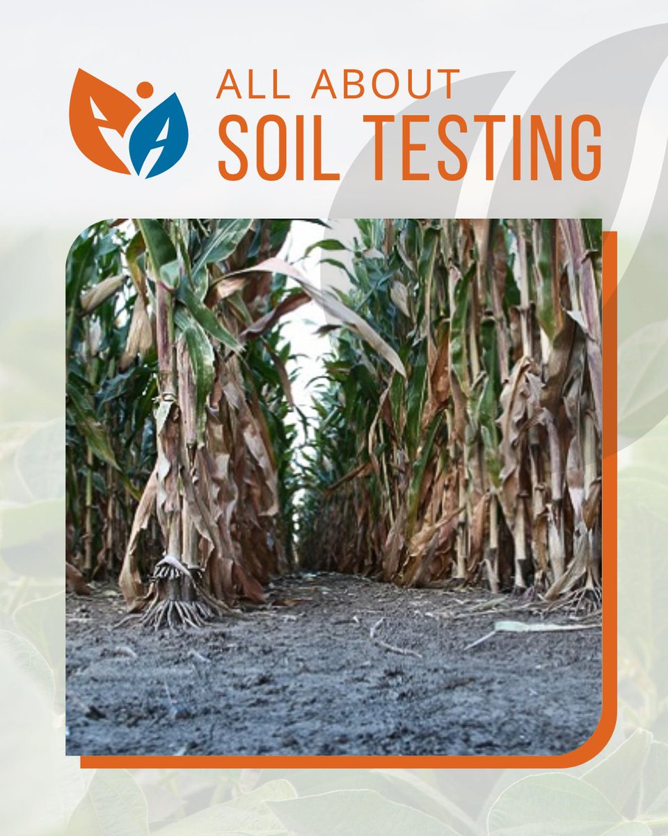 Fields harvested already? Time to test! Optimize inputs for the coming season with soil testing tips and agronomy insights.
bit.ly/47Hg4QO