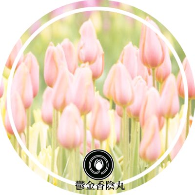 Miwacihn414's tweet photo. #新しいプロフィール画像 https://t.co/JidB7IHckB