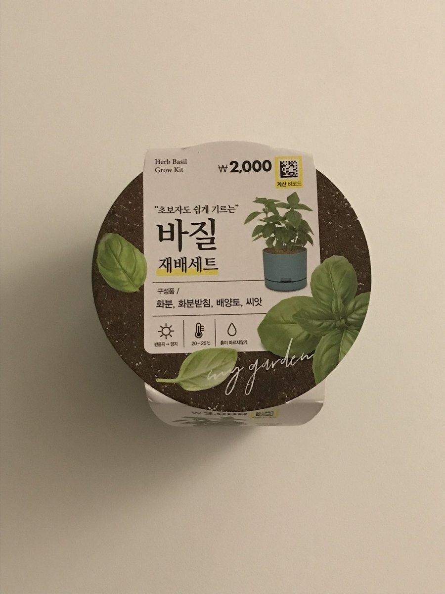 1ovelog's tweet image. 인내심 없는 사람의
다이소 바질키우기 10일차 
아침에 일어날때마다 싹 얼마큼 자랐는지
매일 확인함